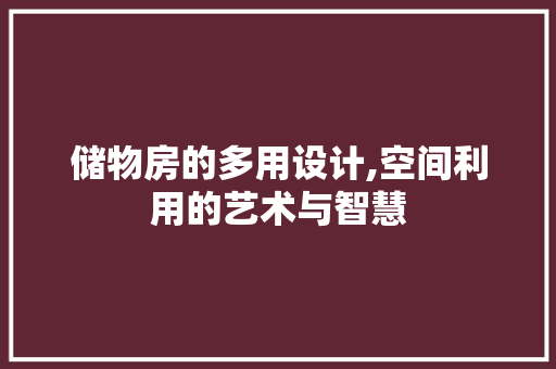 储物房的多用设计,空间利用的艺术与智慧 地面装修 储物房的多用设计,空间利用的艺术与智慧 地面装修