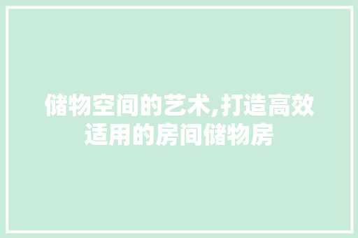 储物空间的艺术,打造高效适用的房间储物房