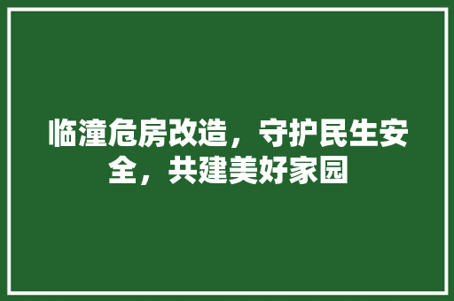 临潼危房改造，守护民生安全，共建美好家园