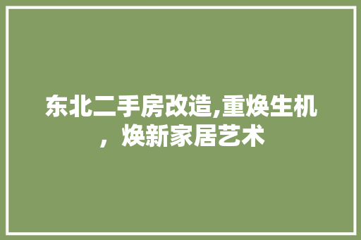 东北二手房改造,重焕生机，焕新家居艺术