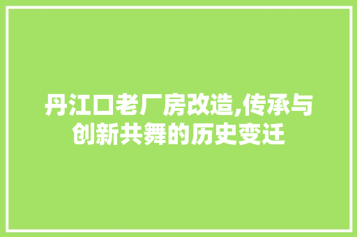 丹江口老厂房改造,传承与创新共舞的历史变迁
