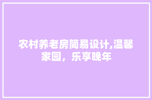 农村养老房简易设计,温馨家园，乐享晚年
