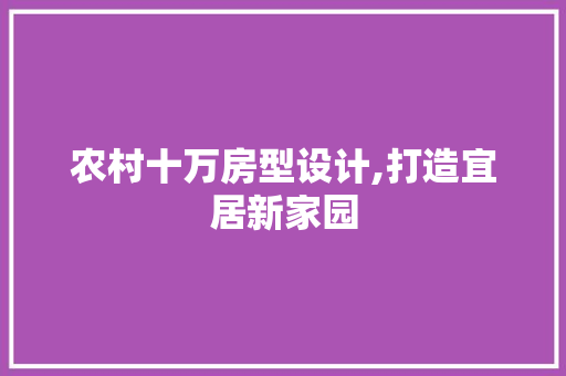 农村十万房型设计,打造宜居新家园