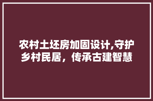 农村土坯房加固设计,守护乡村民居，传承古建智慧 建筑设计
