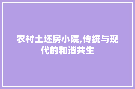 农村土坯房小院,传统与现代的和谐共生
