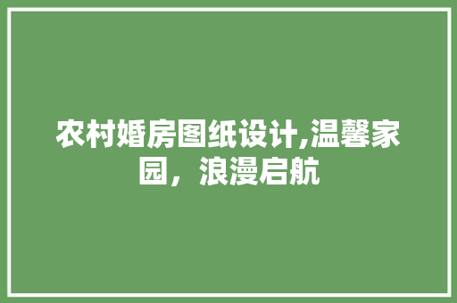 农村婚房图纸设计,温馨家园，浪漫启航