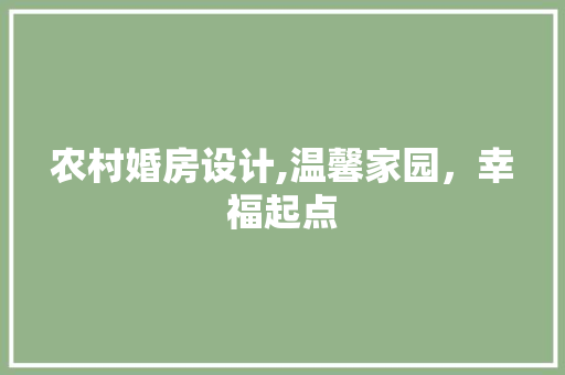 农村婚房设计,温馨家园，幸福起点