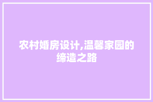 农村婚房设计,温馨家园的缔造之路