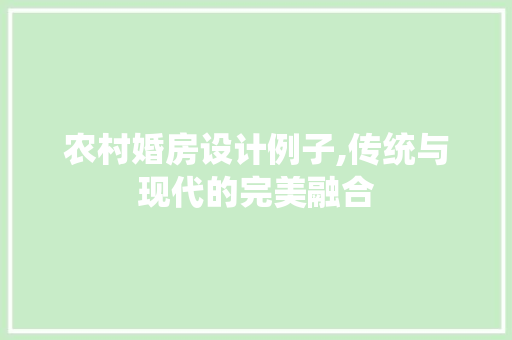 农村婚房设计例子,传统与现代的完美融合