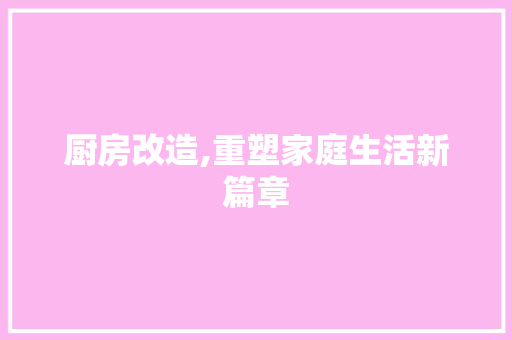 厨房改造,重塑家庭生活新篇章