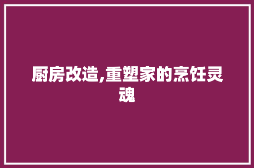 厨房改造,重塑家的烹饪灵魂