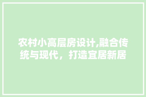 农村小高层房设计,融合传统与现代，打造宜居新居