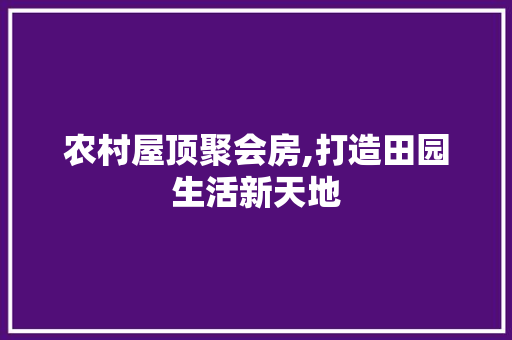 农村屋顶聚会房,打造田园生活新天地