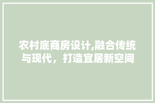 农村底商房设计,融合传统与现代，打造宜居新空间