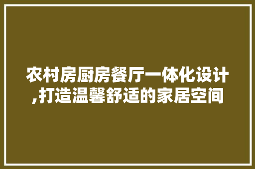 农村房厨房餐厅一体化设计,打造温馨舒适的家居空间 装修攻略
