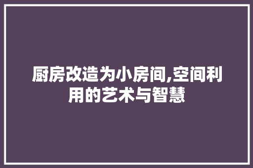 厨房改造为小房间,空间利用的艺术与智慧