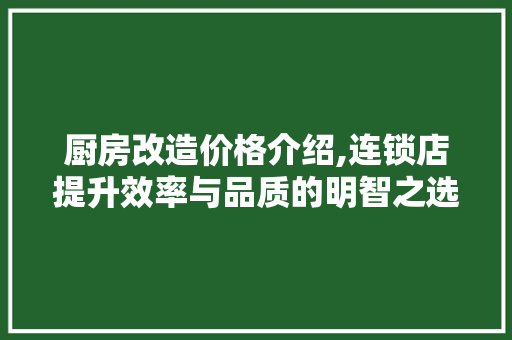 厨房改造价格介绍,连锁店提升效率与品质的明智之选