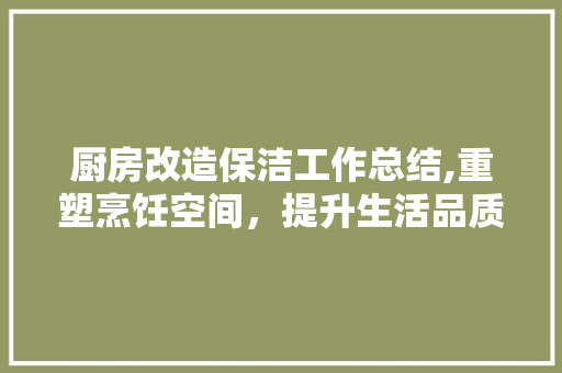 厨房改造保洁工作总结,重塑烹饪空间，提升生活品质