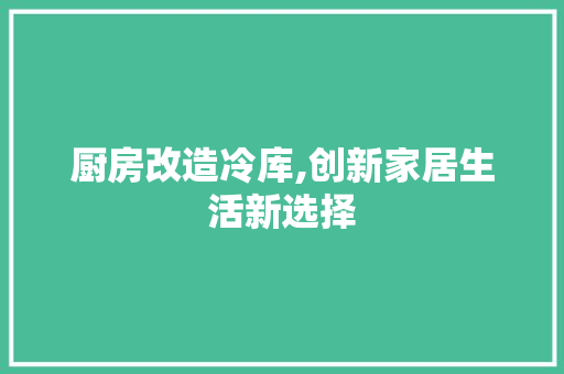 厨房改造冷库,创新家居生活新选择