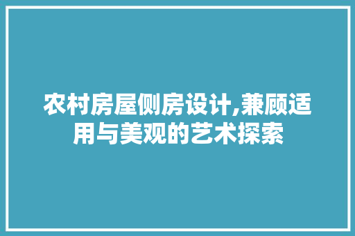 农村房屋侧房设计,兼顾适用与美观的艺术探索