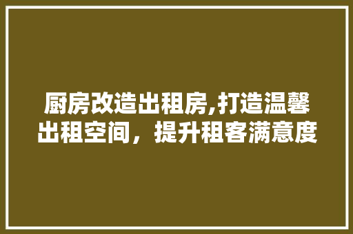 厨房改造出租房,打造温馨出租空间，提升租客满意度
