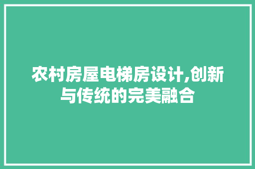 农村房屋电梯房设计,创新与传统的完美融合