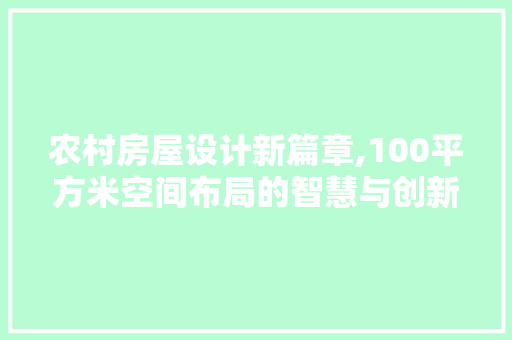 农村房屋设计新篇章,100平方米空间布局的智慧与创新