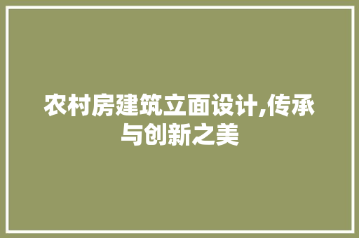 农村房建筑立面设计,传承与创新之美
