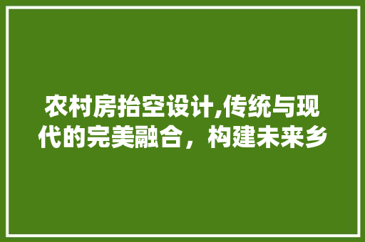 农村房抬空设计,传统与现代的完美融合，构建未来乡村新风貌
