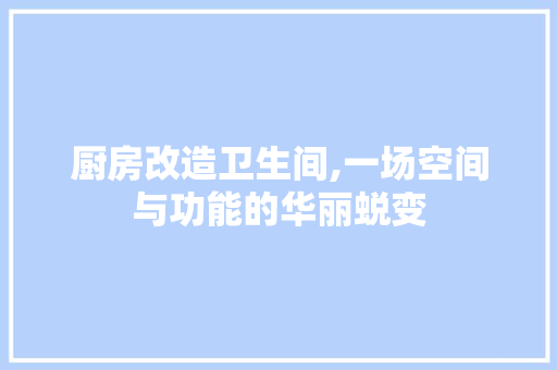 厨房改造卫生间,一场空间与功能的华丽蜕变