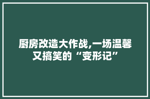 厨房改造大作战,一场温馨又搞笑的“变形记”