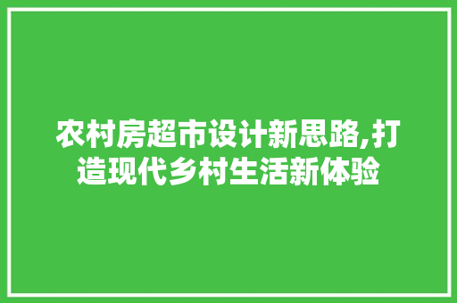 农村房超市设计新思路,打造现代乡村生活新体验