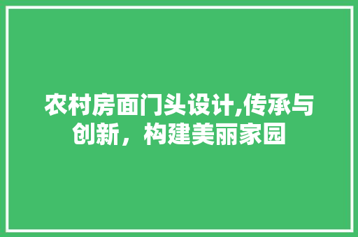 农村房面门头设计,传承与创新，构建美丽家园