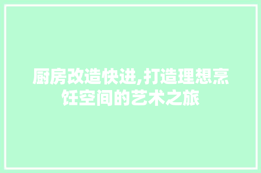 厨房改造快进,打造理想烹饪空间的艺术之旅