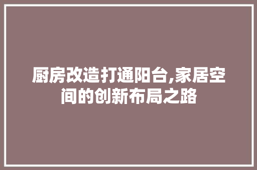 厨房改造打通阳台,家居空间的创新布局之路