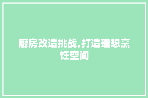 厨房改造挑战,打造理想烹饪空间