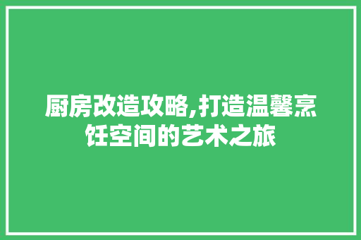 厨房改造攻略,打造温馨烹饪空间的艺术之旅