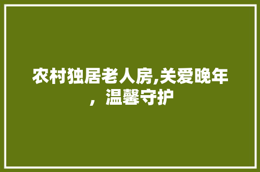 农村独居老人房,关爱晚年，温馨守护