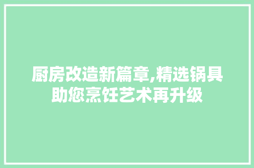 厨房改造新篇章,精选锅具助您烹饪艺术再升级