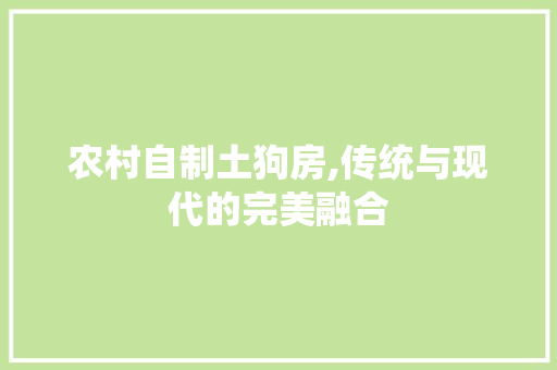 农村自制土狗房,传统与现代的完美融合
