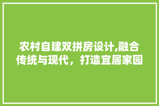 农村自建双拼房设计,融合传统与现代，打造宜居家园