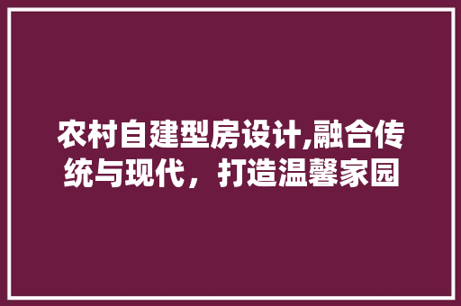 农村自建型房设计,融合传统与现代，打造温馨家园