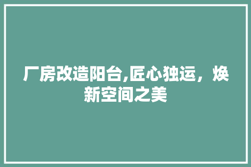 厂房改造阳台,匠心独运，焕新空间之美