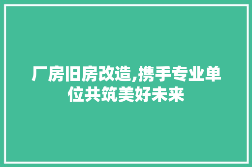 厂房旧房改造,携手专业单位共筑美好未来