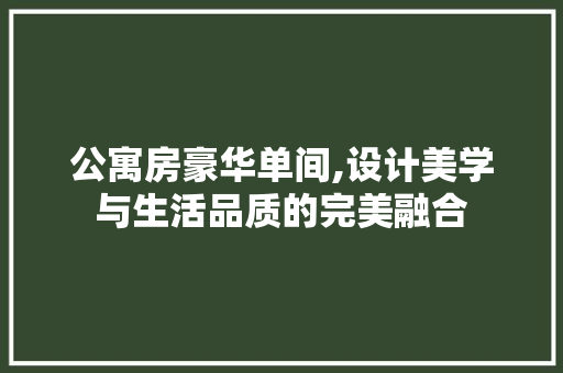 公寓房豪华单间,设计美学与生活品质的完美融合