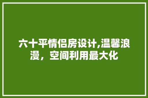 六十平情侣房设计,温馨浪漫，空间利用最大化