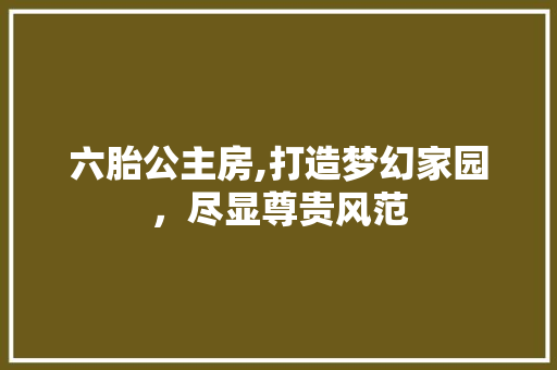六胎公主房,打造梦幻家园，尽显尊贵风范
