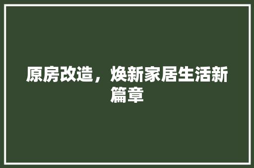 原房改造，焕新家居生活新篇章