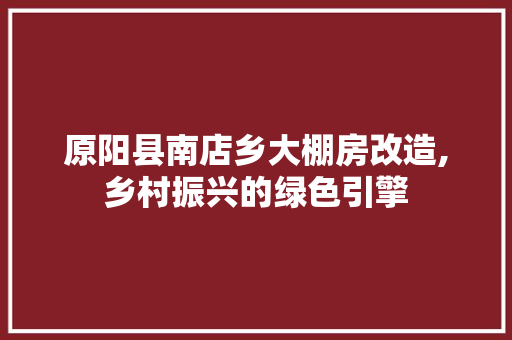 原阳县南店乡大棚房改造,乡村振兴的绿色引擎