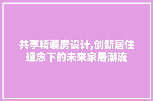 共享精装房设计,创新居住理念下的未来家居潮流